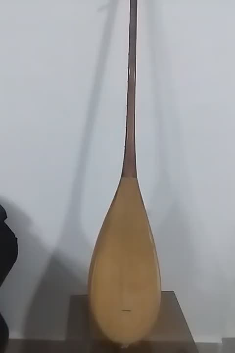 دوتار خوش صدا یکسال کار  کار دسته صداش خیلی عالی|سازهای سنتی|اسفراین, |دیوار