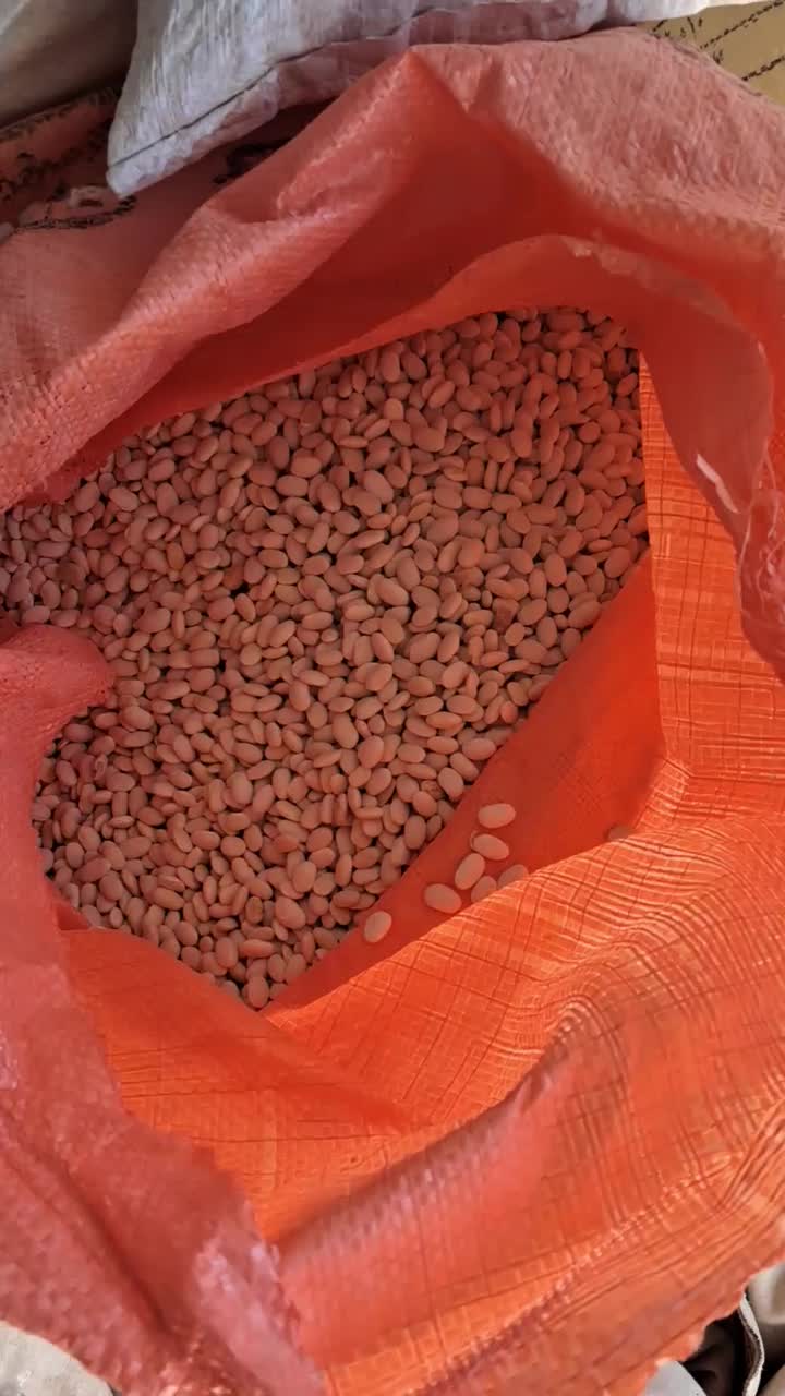 لوبیا سفید بوجاری شده ۷۰۰ گیلو|عمدهفروشی|داران, |دیوار