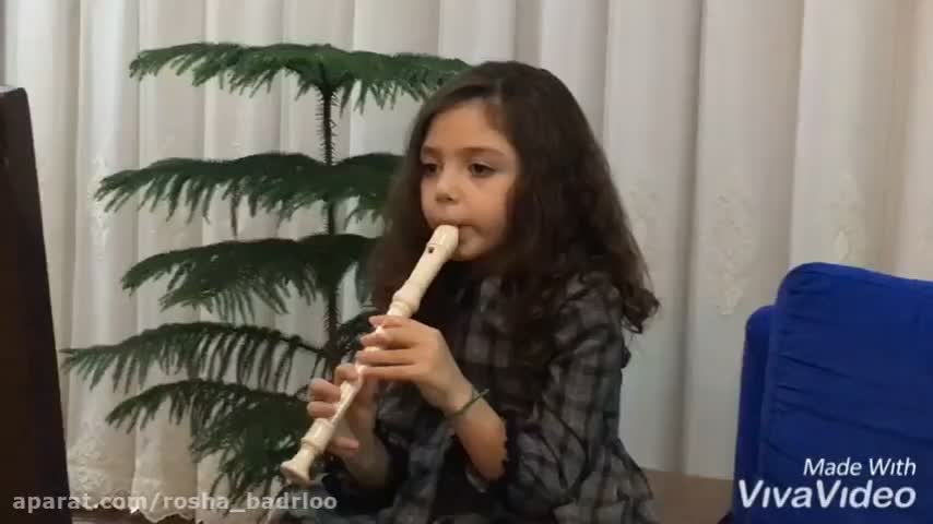 فلوت ریکودر مدل HARMONIC|سازهای بادی|اهواز, کوی راه کربلا|دیوار