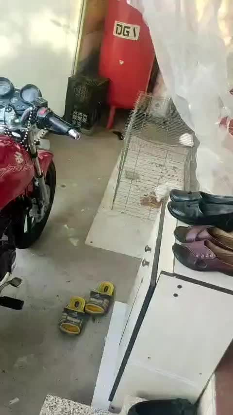 موتورپالس 180|موتورسیکلت|گرگان, |دیوار