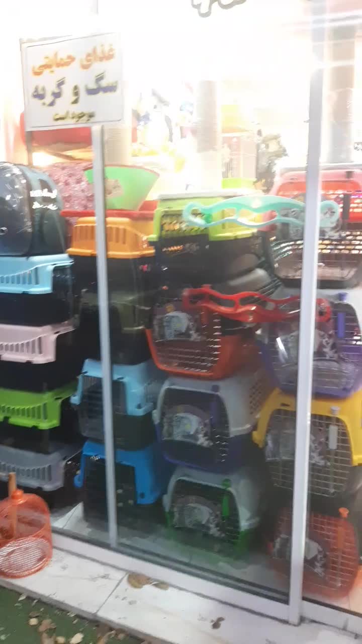 پت شاپ ملزومات حیوانات خانگی|لوازم جانبی حیوانات|اراک, |دیوار