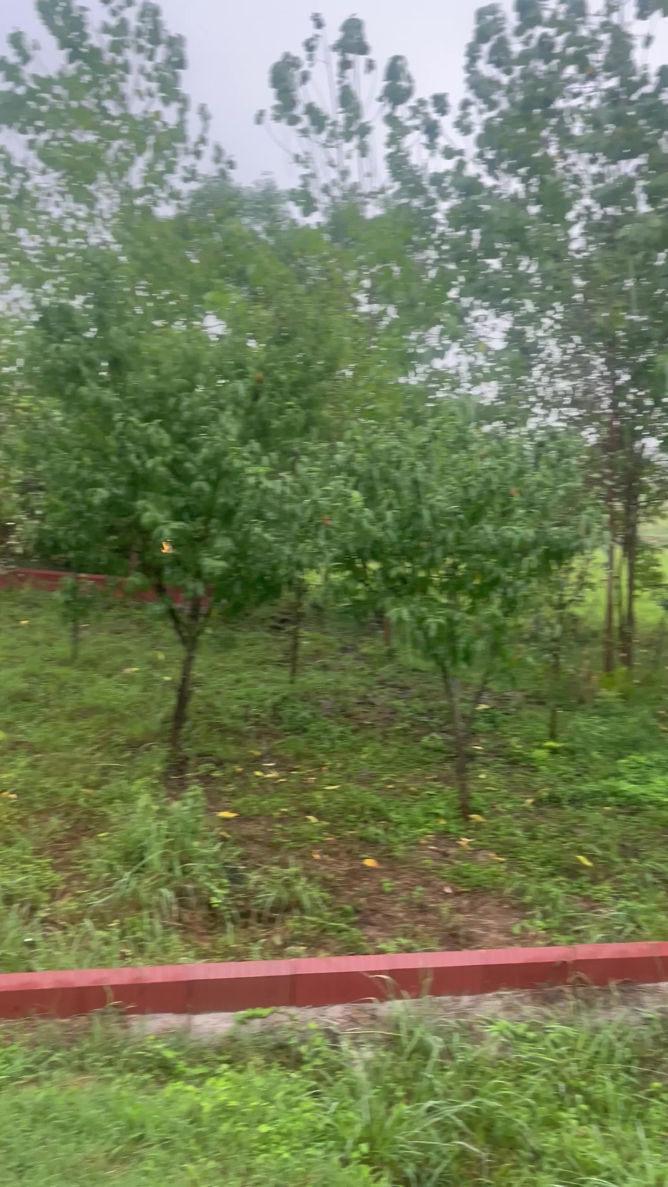 اجاره سوئیت های حیاط دار|اجارهٔ کوتاهمدت آپارتمان و سوئیت|رشت, لاکان|دیوار