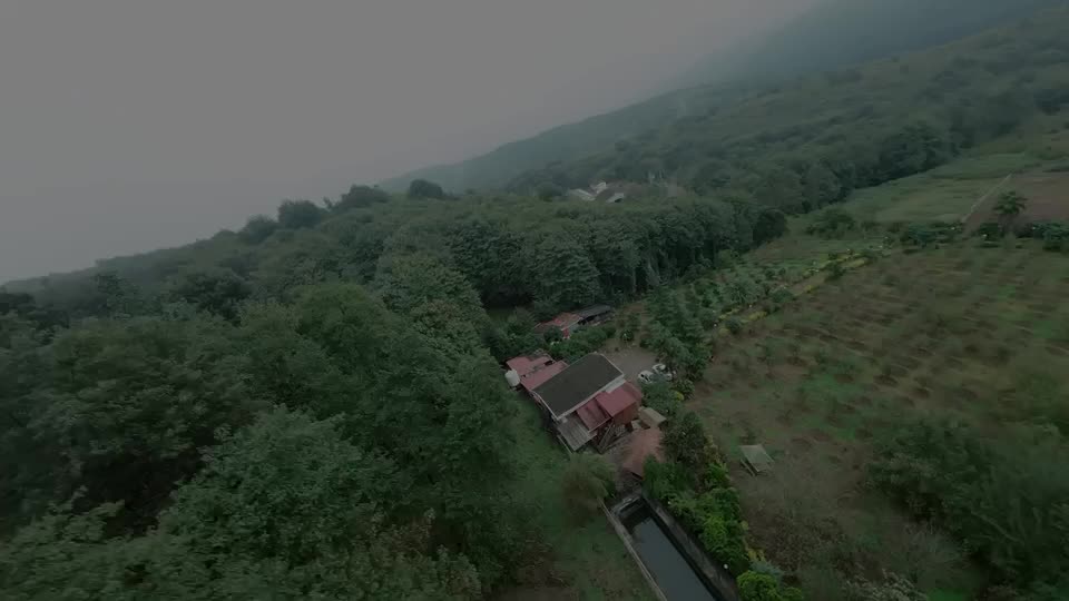 اجاره ویلا توی دل جنگل های سوادکوه|اجارهٔ کوتاهمدت ویلا و باغ|شیرگاه, |دیوار