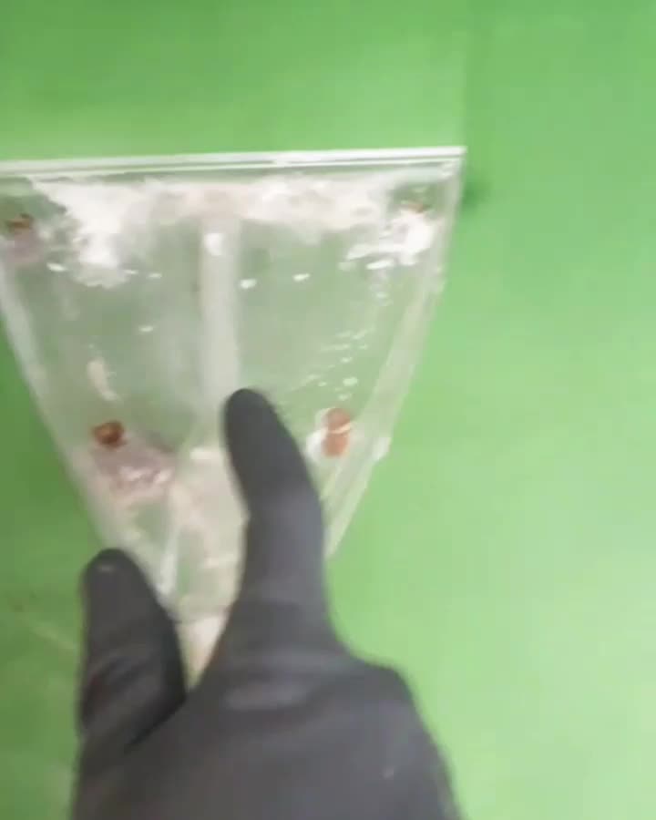 مبل شویی شریعتی مجیدیه نارمک تجریش شستشوی موکت|خدمات نظافت|تهران, مهران (سیدخندان)|دیوار