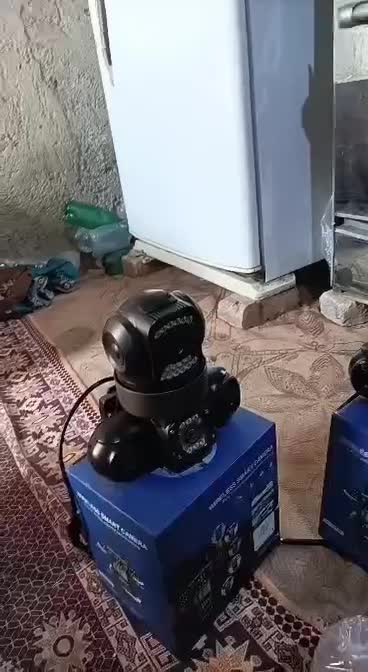 برای اولین بار چهارچشم واقعی در ایران/2سال گارانتی|حراج|ایرانشهر, |دیوار