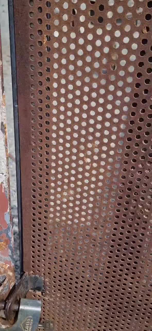 سرابی|سگ|مشکین‌دشت, |دیوار