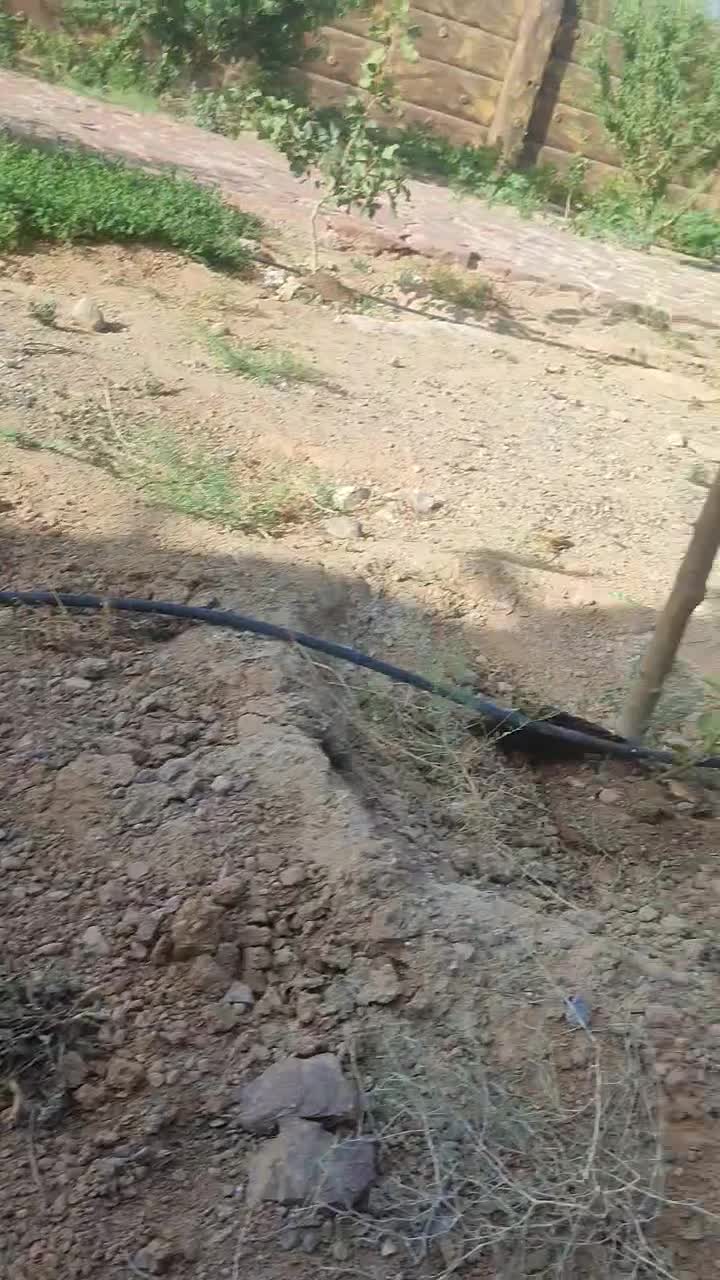 باغ در بافت روستا مبیاشد|فروش زمین و ملک کلنگی|رضویه, |دیوار