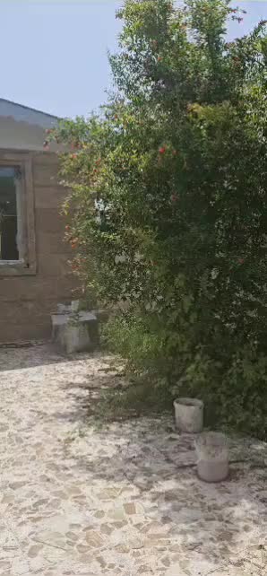 ویلانوساز240متری/خشکبیجارروستایی/8کیلومتری ساحل|فروش خانه و ویلا|رشت, چله خانه|دیوار
