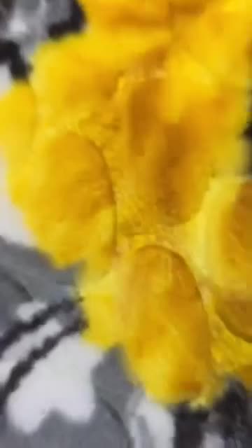 پتودونفره لیلیان|رختخواب، بالش، پتو|زاهدان, |دیوار