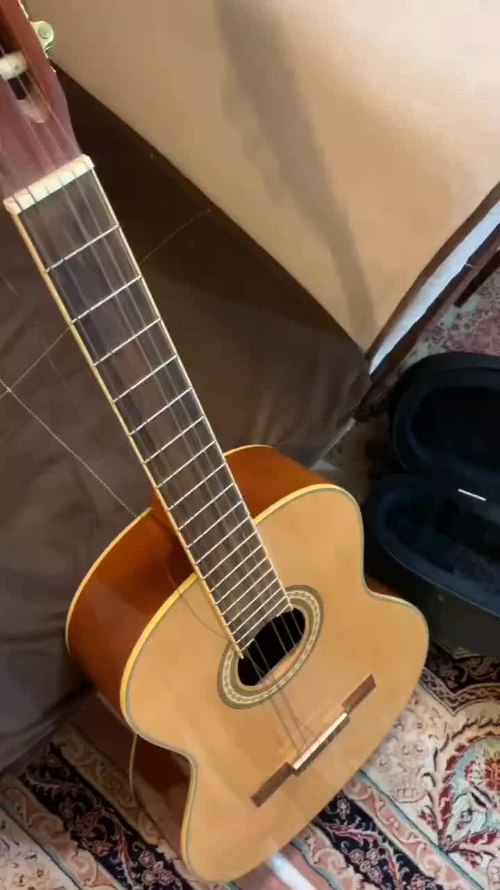 گیتار سانتانا cg010|گیتار، بیس، امپلیفایر|تهران, لویزان|دیوار