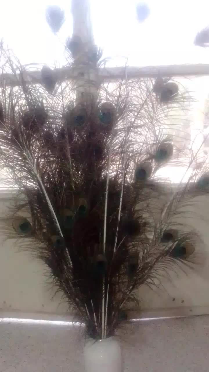 گلدون طاووس.|گل مصنوعی|مشهد, عنصری|دیوار