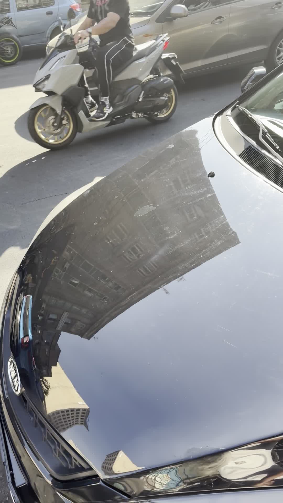 Mvm315(ام وی ام)مدل۱۳۹۶|خودرو سواری و وانت|تهران, درختی|دیوار