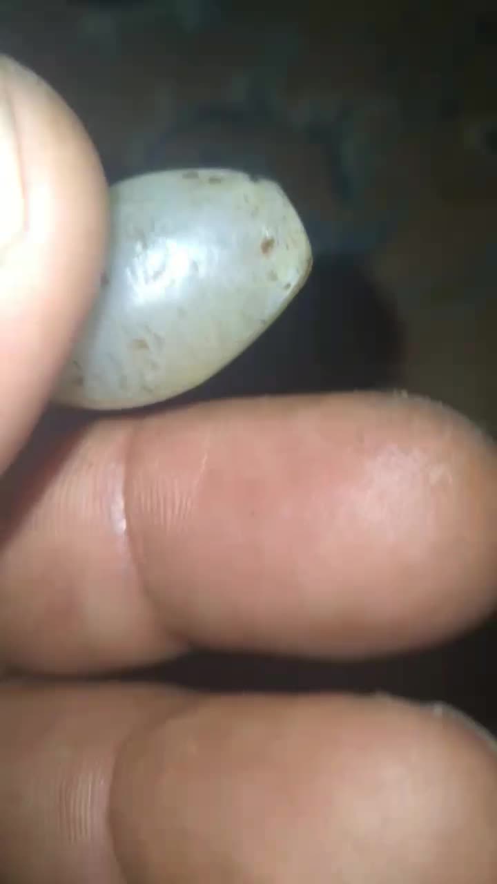 مهره قدیمی گردنبند|کلکسیون اشیاء عتیقه|لردگان, |دیوار