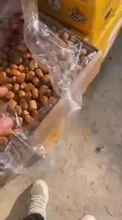 خرما|خوردنی و آشامیدنی|قم, شهرک قدس|دیوار