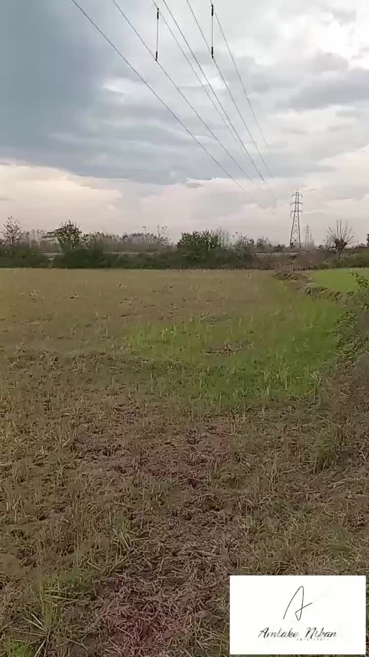 ۱۱۳۰۰مترشالیزارسنتی/زیرقیمت واقعی/چسبیده به انشعاب|فروش زمین و ملک کلنگی|آستانه اشرفیه, |دیوار