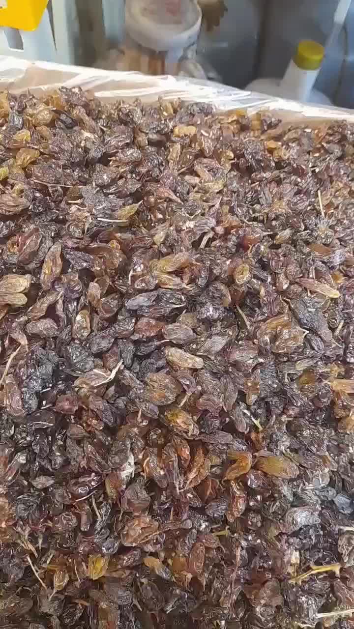 کشمش کاشمر|عمده‌فروشی|هامون, |دیوار