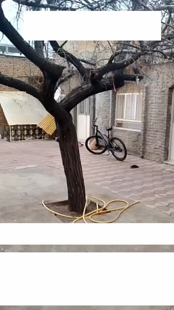 ساختمان داخل شهر (مشاور املاک رامین)|فروش خانه و ویلا|میاندوآب, |دیوار