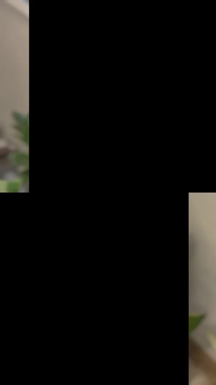 پخش قاب و گلس موبایل عمده|لوازم جانبی موبایل و تبلت|تهران, امام زاده حسن|دیوار