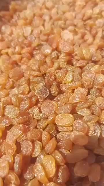 کشمش تاکنشان|خوردنی و آشامیدنی|اهواز, کوی آغاجاری|دیوار