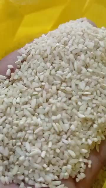 فروش برنج عنبربو دانه بلند محصول امسال|خوردنی و آشامیدنی|قم, علی آباد سعدگان|دیوار