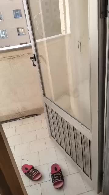 اجاره عالم ارا تک خواب محله سی۵|اجارهٔ آپارتمان|فولادشهر, C5|دیوار