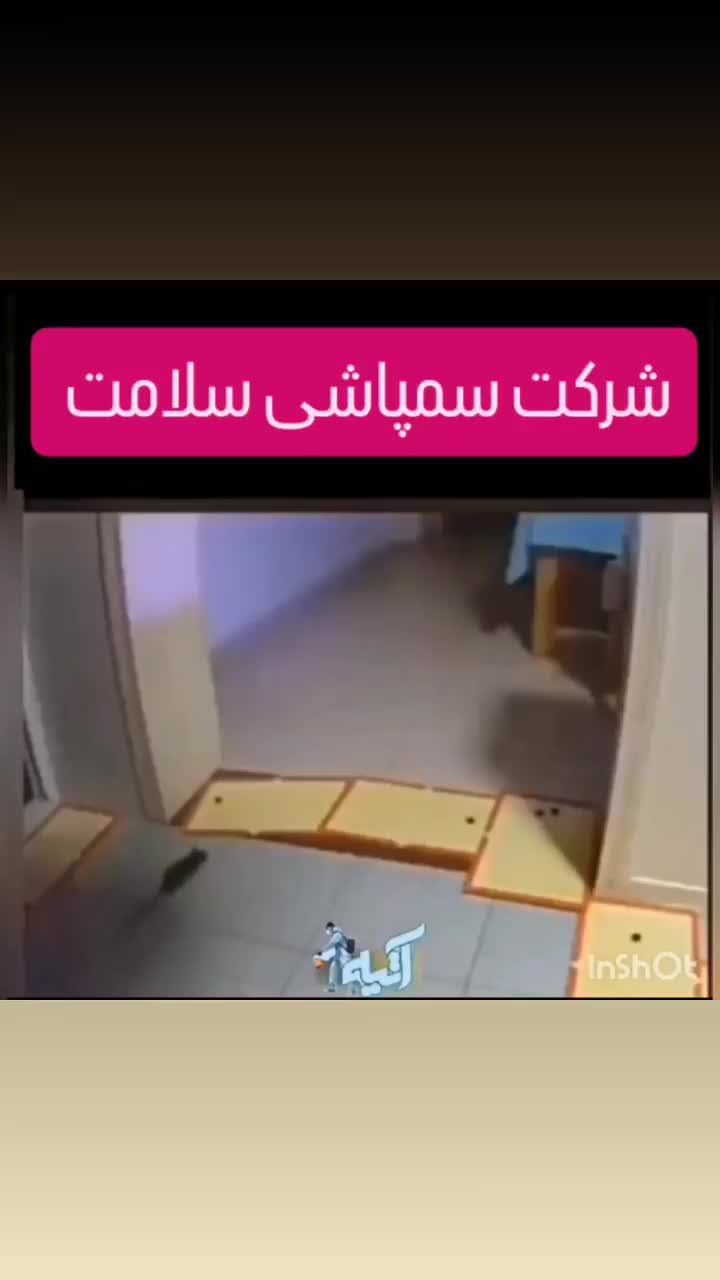 سمپاشی و موریانه زدایی تخصصی با قیمت مناسب|خدمات نظافت|دزفول, |دیوار