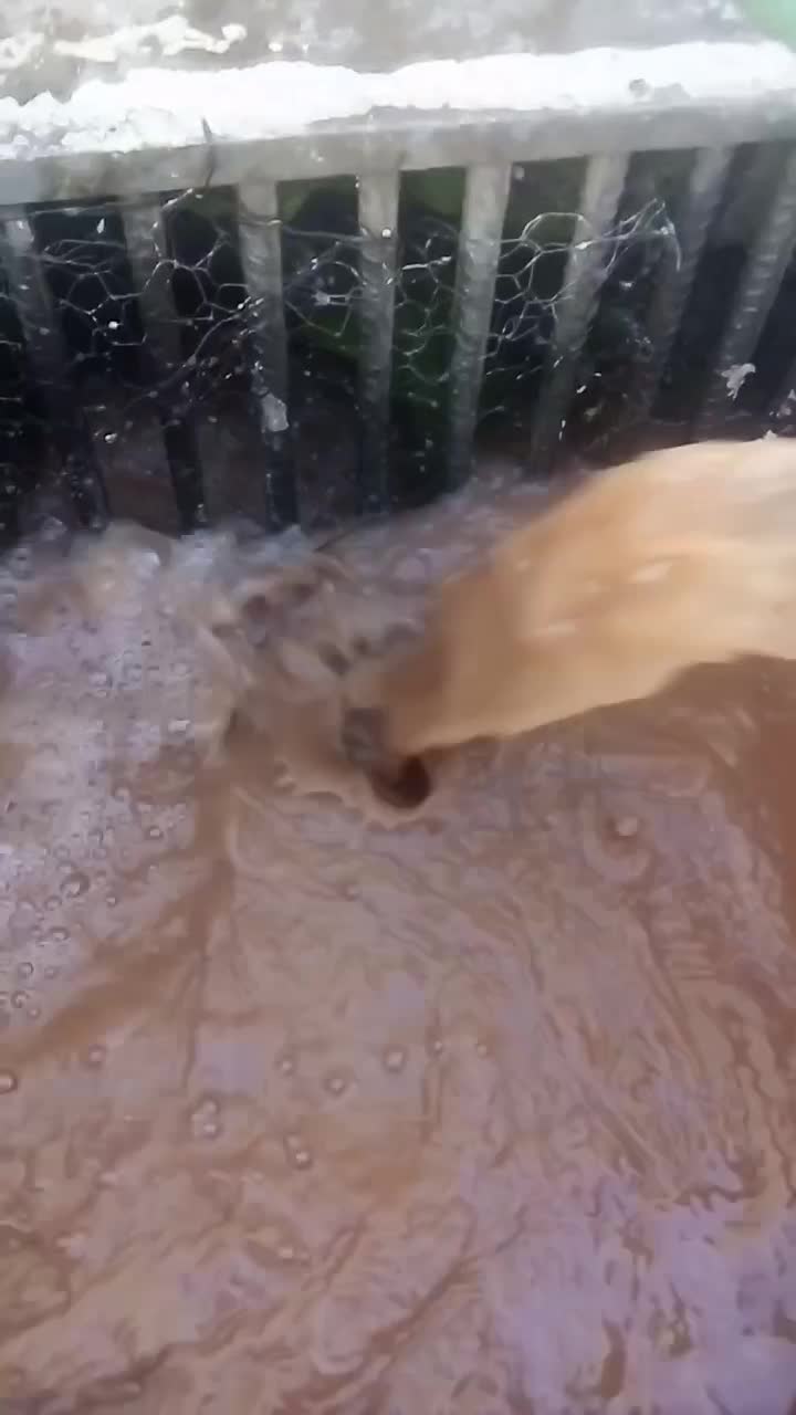 حفرچاه حرفه ای|خدمات پیشه و مهارت|خرمآباد, |دیوار