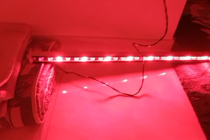 چراغ سه رنگ|لامپ و چراغ|سنندج, |دیوار