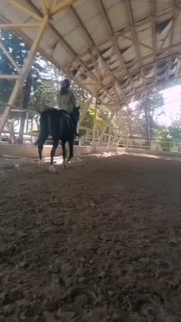 آموزش سوارکاری|خدمات آموزشی|تهران, پیکان شهر|دیوار