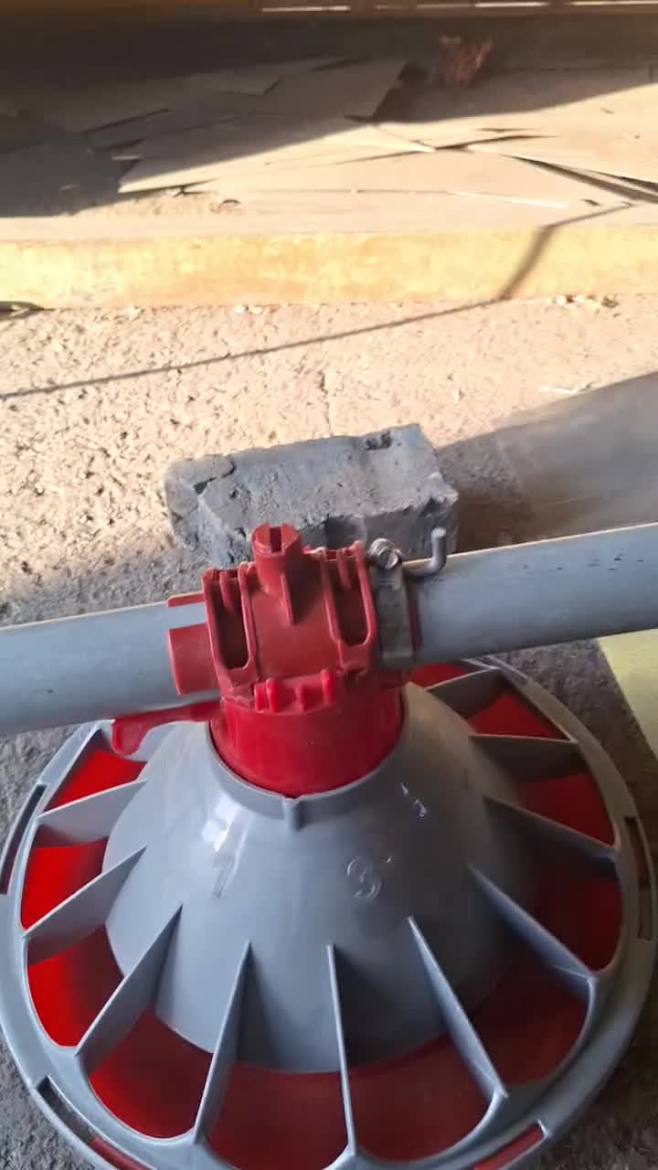 دانخوری بشقابی کناوی|عمدهفروشی|کرمانشاه, |دیوار