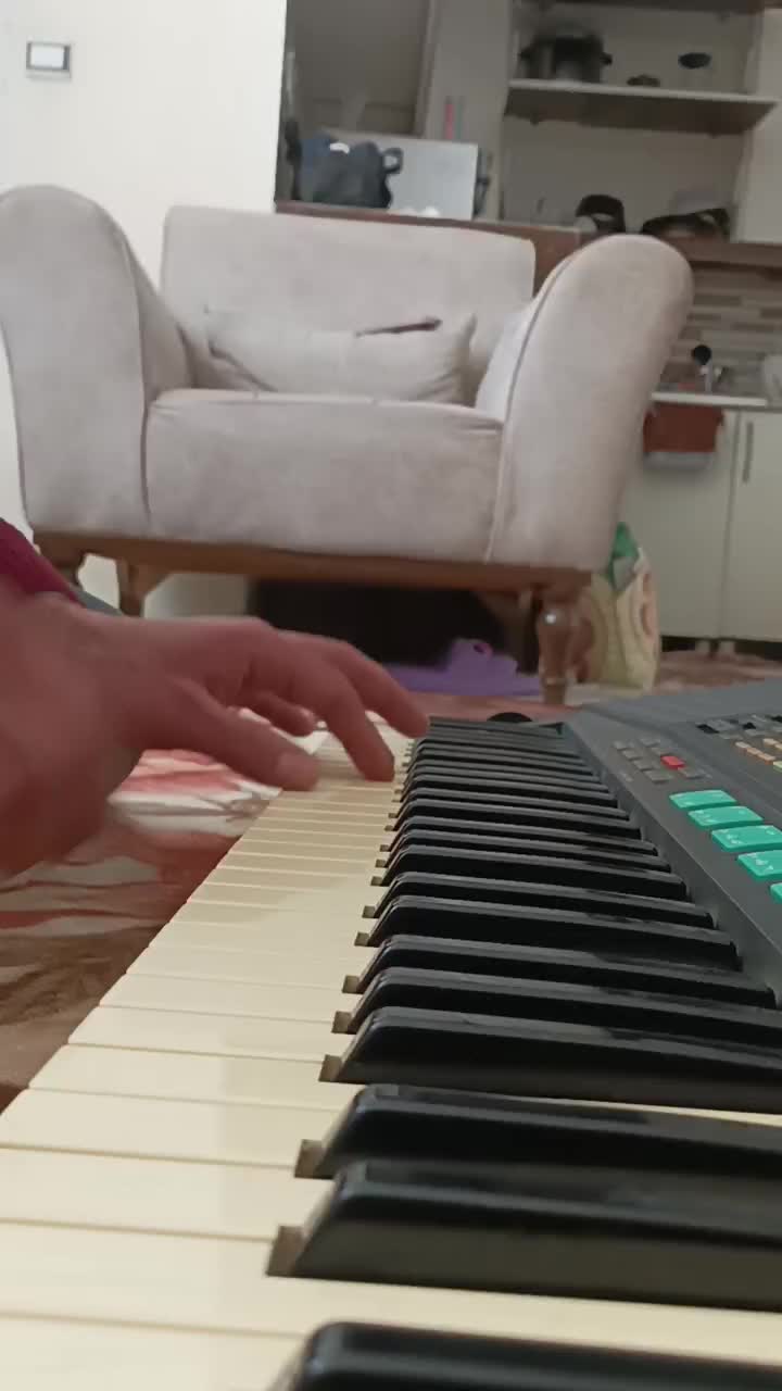 ارگ|پیانو، کیبورد، آکاردئون|همدان, |دیوار