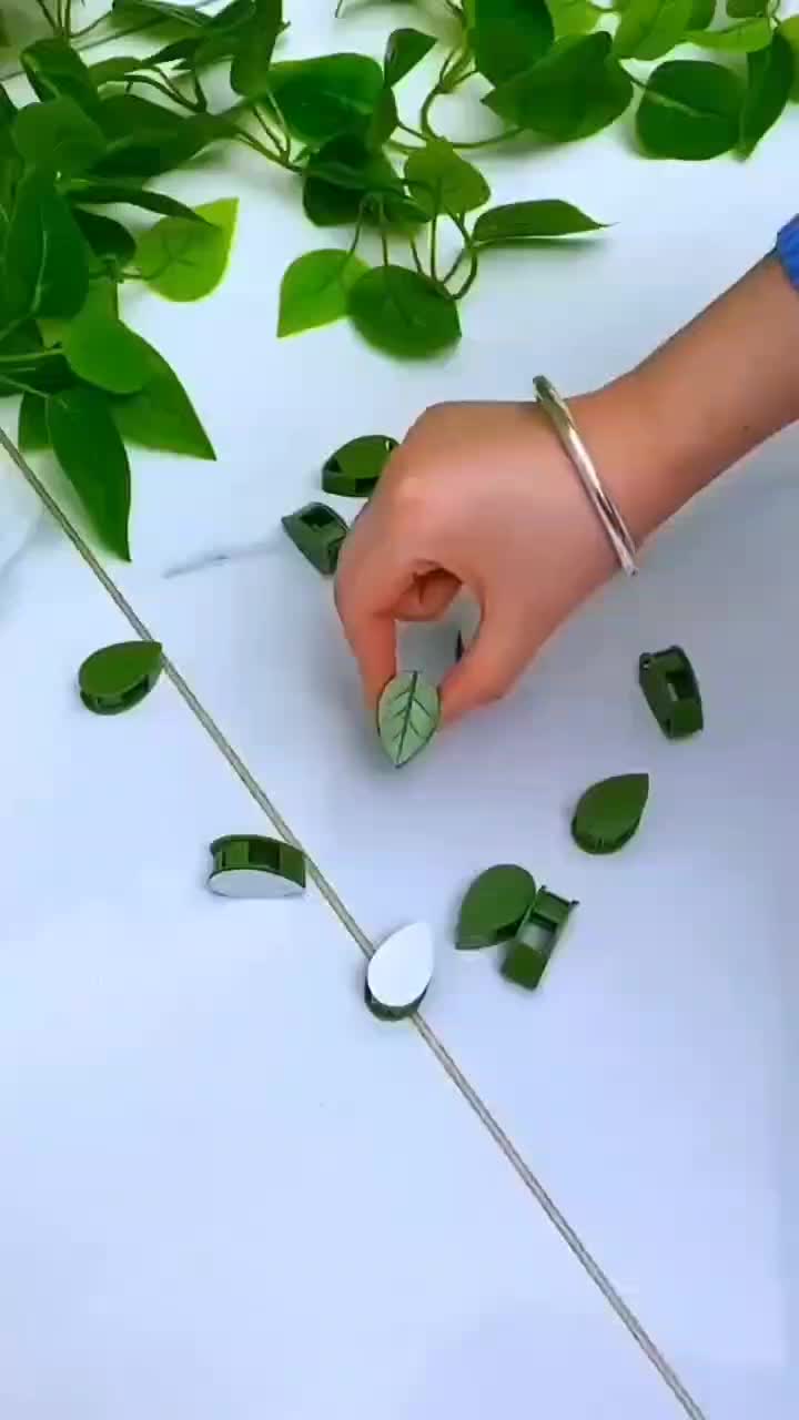 گیره نگهدارنده برگ (ارسال رایگان)|گل و گیاه طبیعی|قم, دروازه ری|دیوار