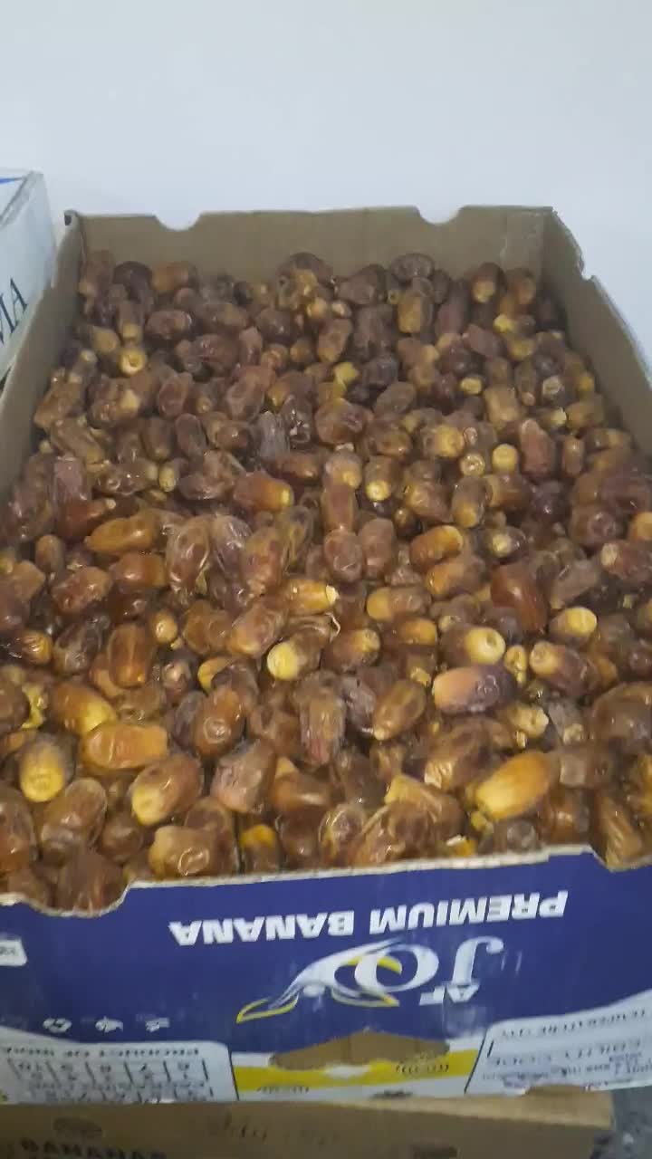 خرمای زاهدی درجه یک زیر قیمت بازار|عمدهفروشی|خورموج, |دیوار