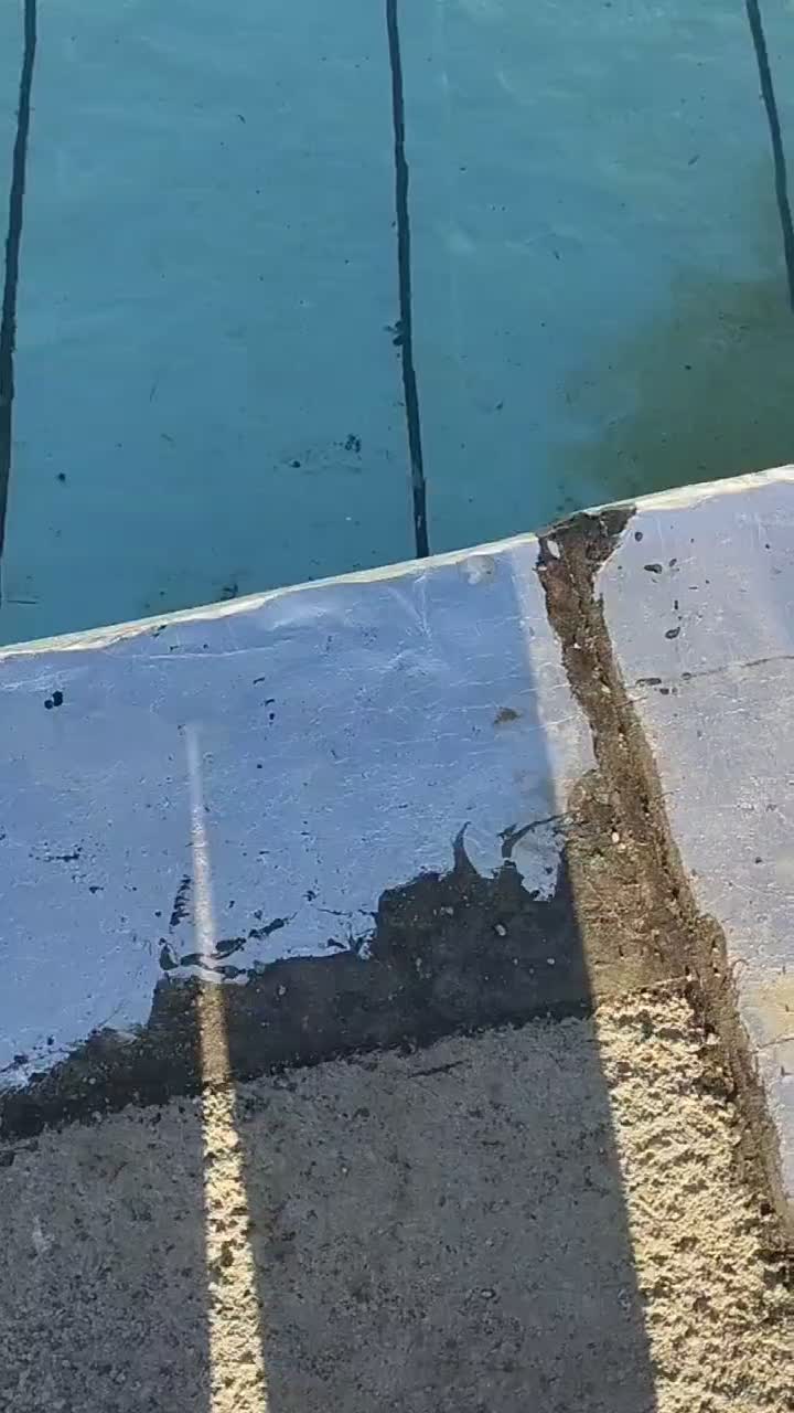 زمین کشاورزی|اجارهٔ دفتر صنعتی، کشاورزی، تجاری|همدان, |دیوار