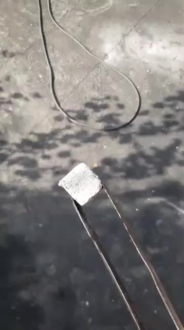 چسب زغال حبه ای|عمده‌فروشی|اصفهان, باغ زرشک|دیوار