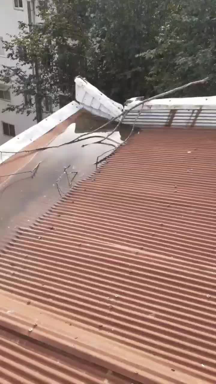 لوله بازکنی رشت فوری|خدمات پیشه و مهارت|رشت, معلولین|دیوار