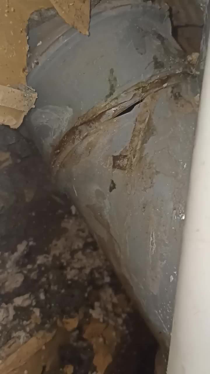 تعمیرات نم ورطوبت پیداکردن نشتی ونشت یابی دقیق|خدمات پیشه و مهارت|کرمانشاه, |دیوار