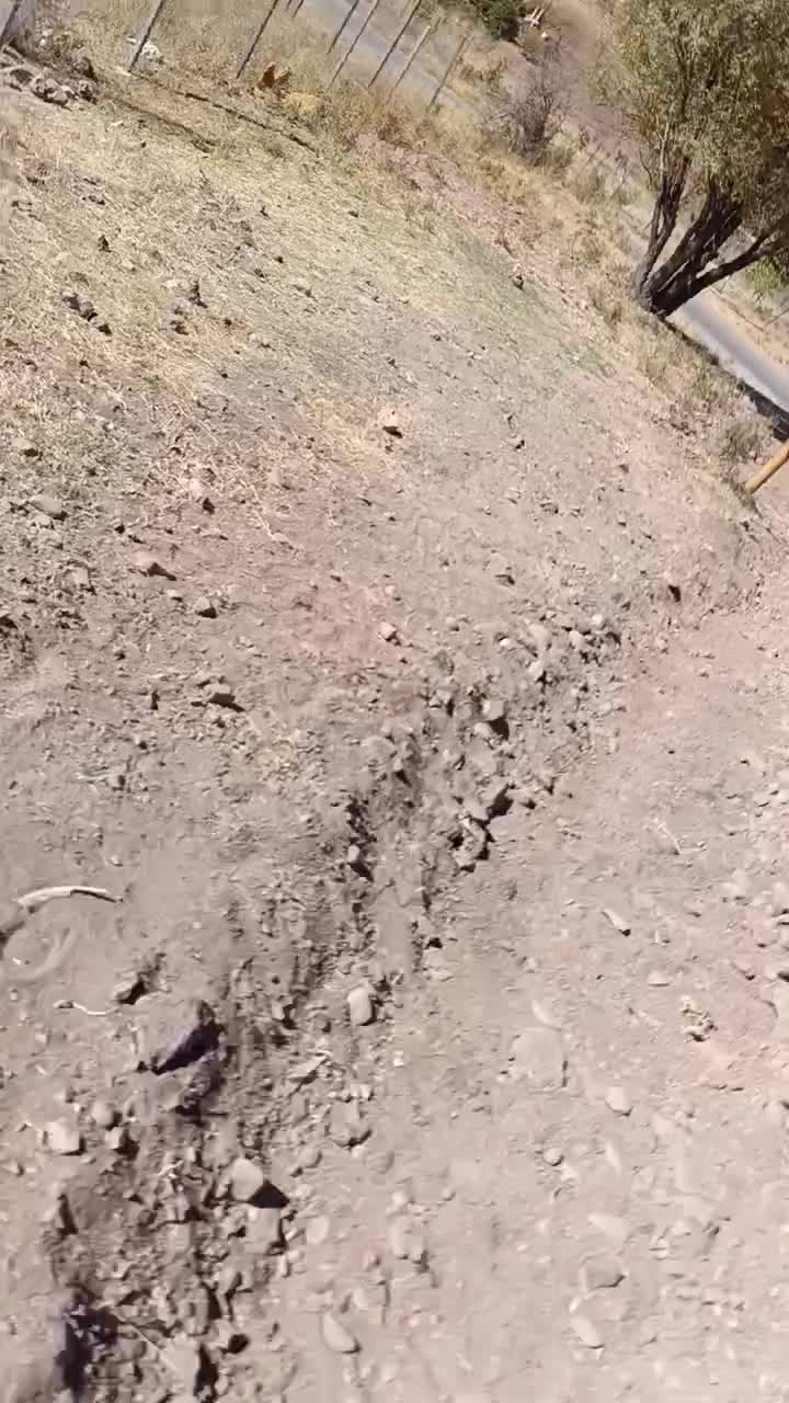 ۶۵۰ متر درختکاری با آب چشمه|فروش زمین و ملک کلنگی|طالقان, |دیوار