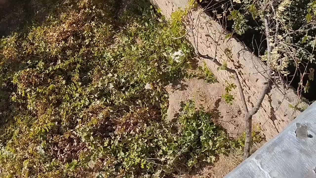 خانه ویلایی|فروش خانه و ویلا|شازند, |دیوار