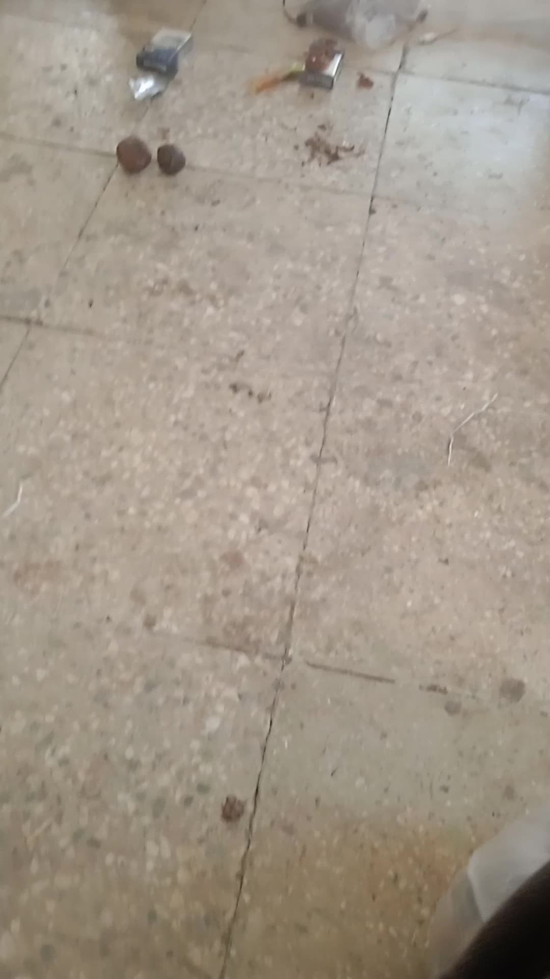 فروشانگشتر نقره 925|کلکسیون اشیاء عتیقه|خوانسار, |دیوار