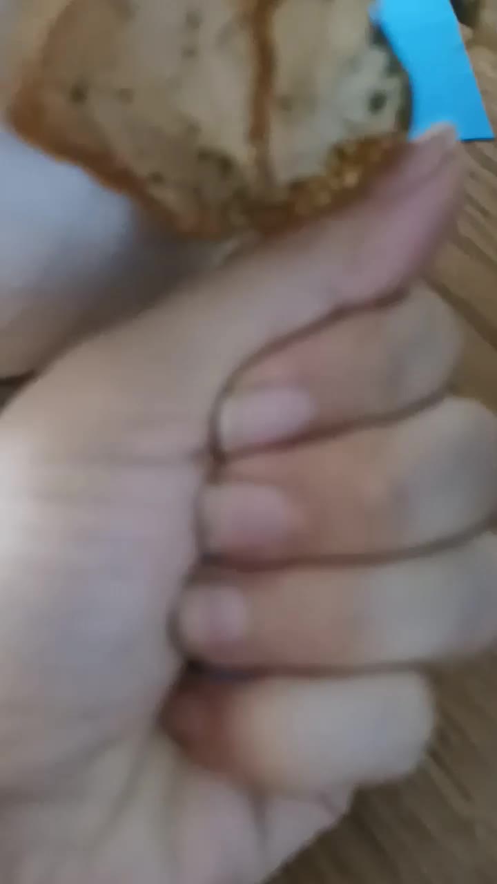 کادویی سر کلیدی عکس و متن و مو|بدلیجات|نیشابور, خط کاشمر|دیوار