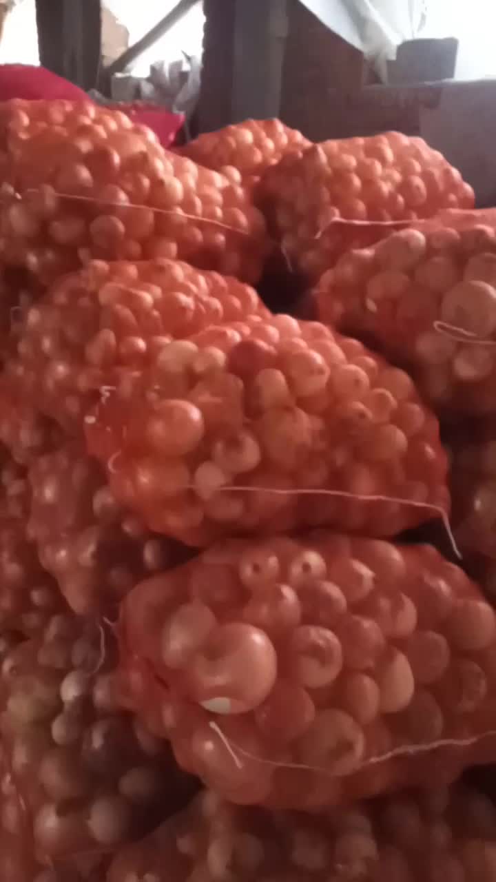 ۲۰ تن پیاز زرد|خوردنی و آشامیدنی|نقده, |دیوار