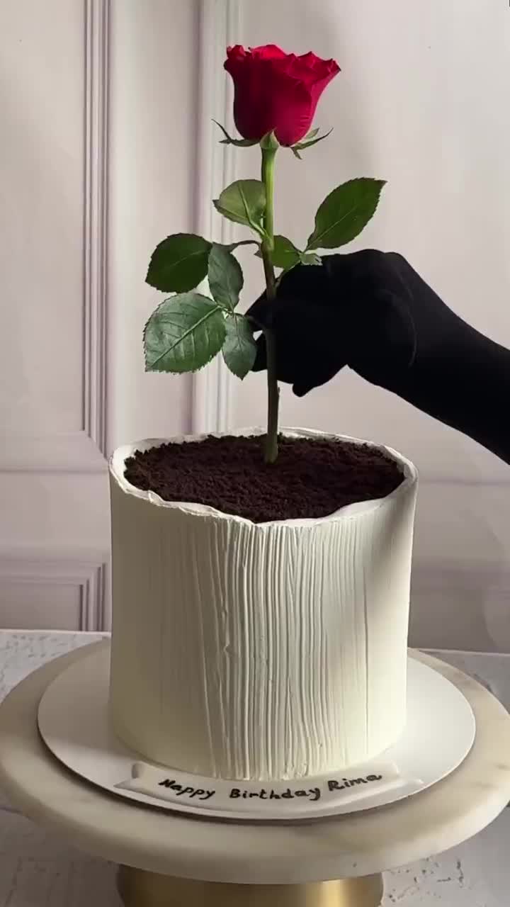 پینار کیک مراغه|خدمات پذیرایی، مراسم|مراغه, |دیوار