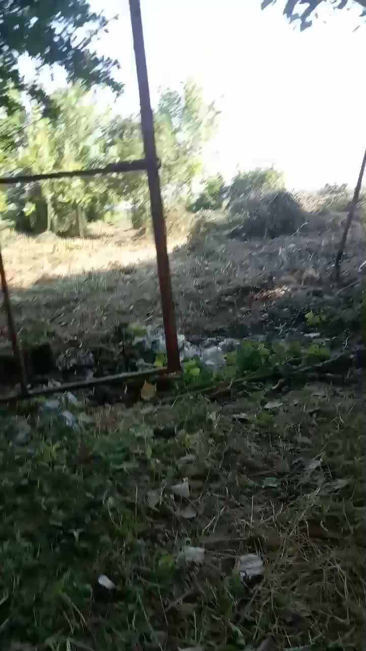 علفتراشی با دستگاه|خدمات باغبانی و درختکاری|لاهیجان, یوسف آباد|دیوار