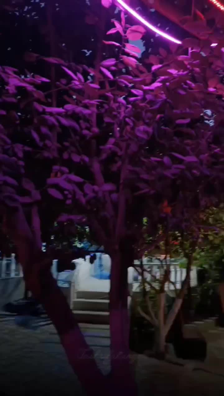 اجاره ویلا جهت‌تولد،دورهمی‌عقد،بله برون‌،شب‌یلدا|اجارهٔ کوتاه‌مدت ویلا و باغ|شیراز, انجیره|دیوار