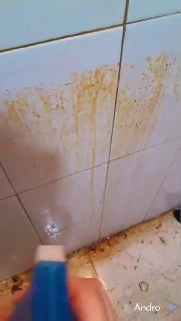 محصول معجزه ای برای کدبانوبدون آسیبی ب پوست دست|مواد شوینده و دستمال کاغذی|نهاوند, |دیوار