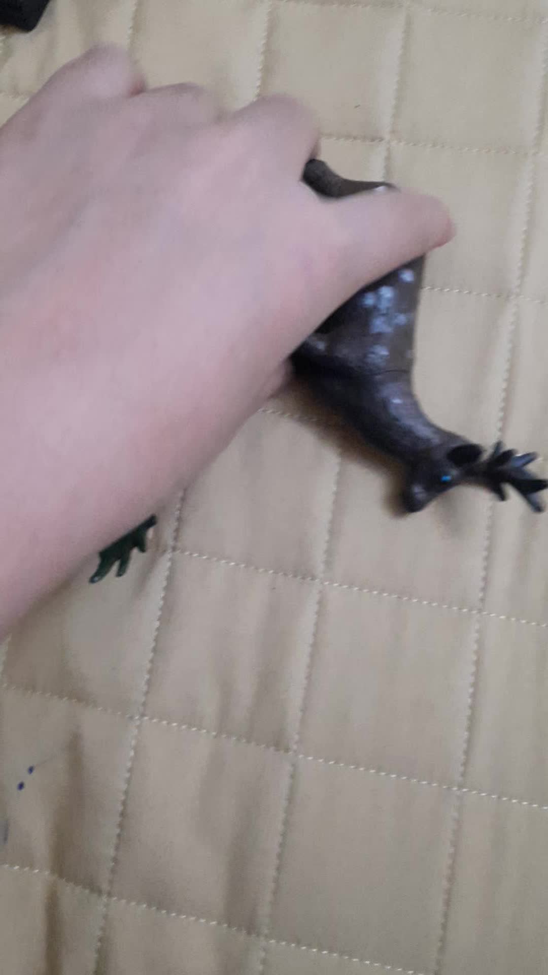 حیوون|اسباببازی|مشهد, آپارتمان های مرتفع|دیوار