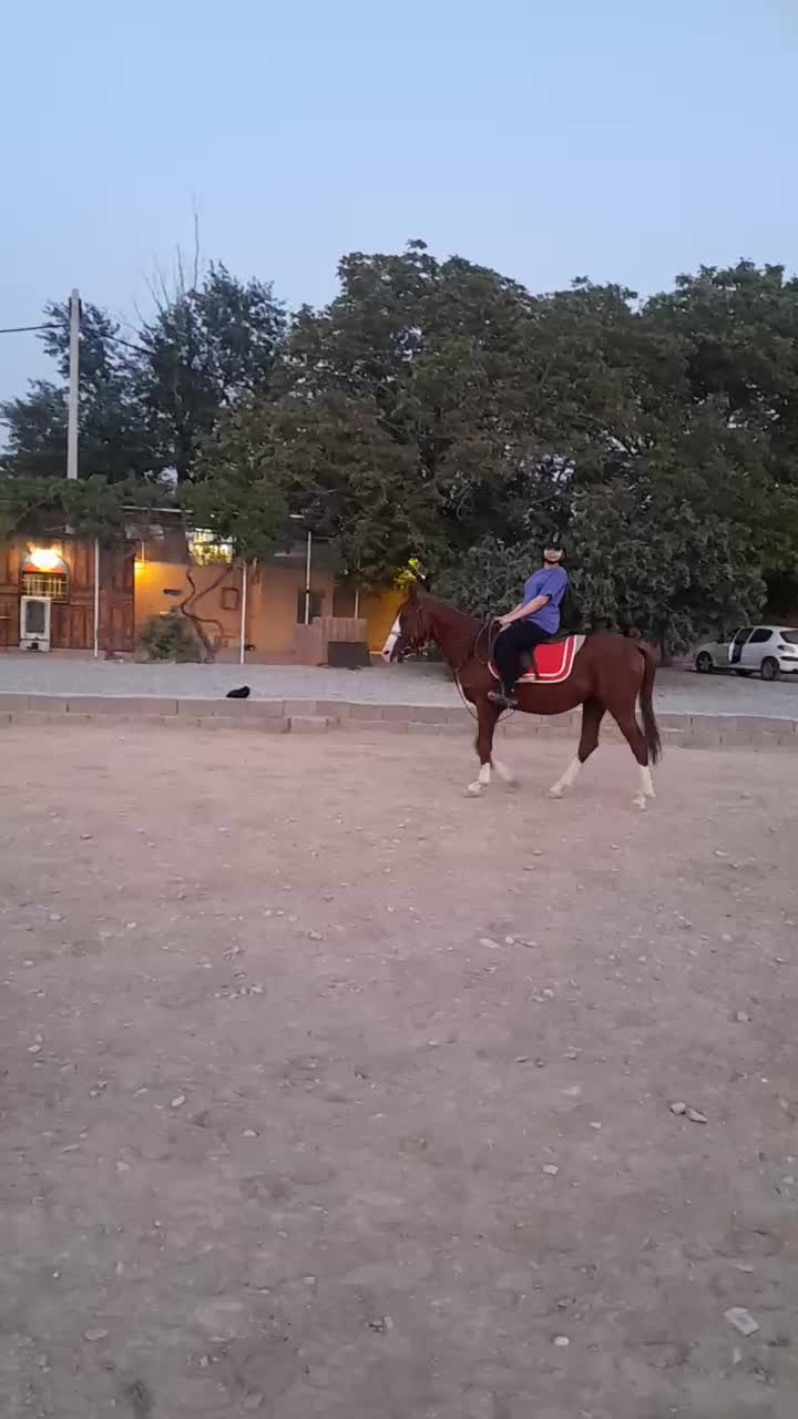 باشگاه سوارکاری پدر|اسب و تجهیزات اسب‌سواری|شهریار, شهریار|دیوار