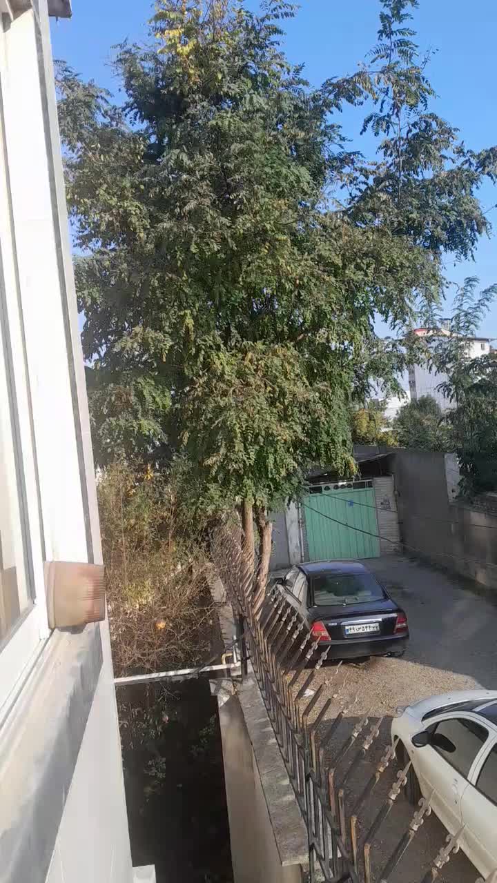 فروش چوب ...نیازمند خریدار با دستگاه برای قطع درخت|مصالح و تجهیزات ساختمان|قائم‌شهر, |دیوار