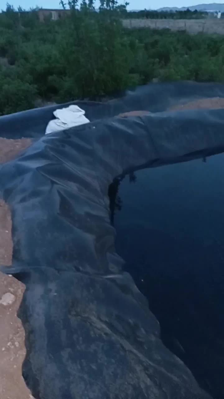 زمین کشاورزی|فروش زمین و ملک کلنگی|قمصر, |دیوار